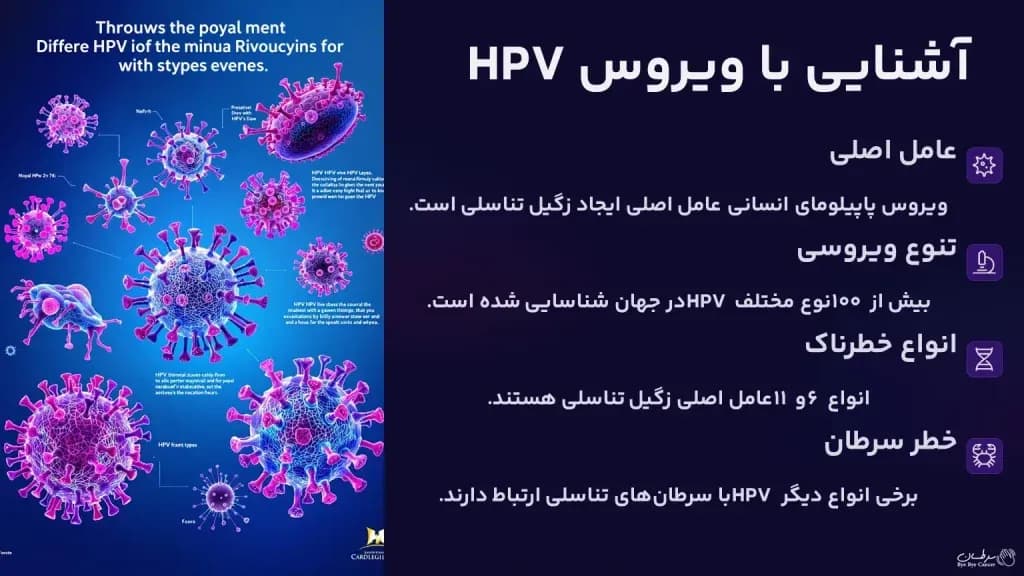 Cause-of-genital-warts.1-1024x576.webp
