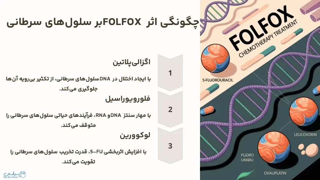 FOLFOX.2-1024x576.webp