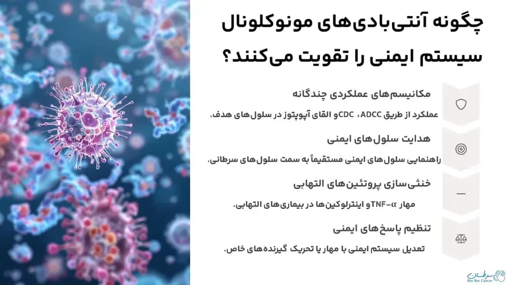 How-do-monoclonal-antibodies-boost-the-immune-system-1024x576.webp