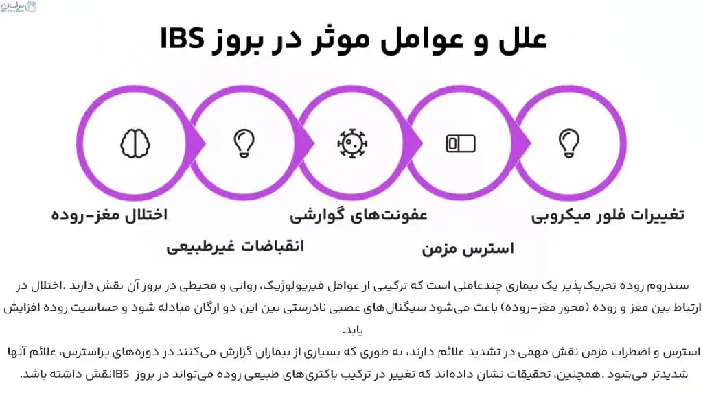 IBS.3-1024x576.webp