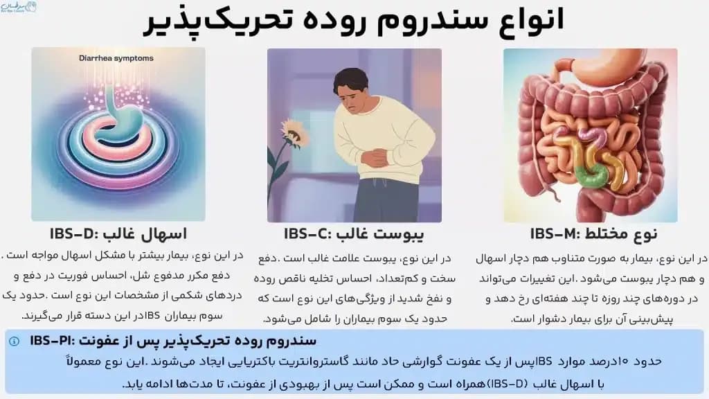 IBS.4-1024x576.webp