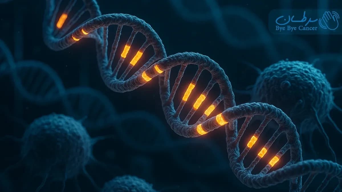 DNA زائد