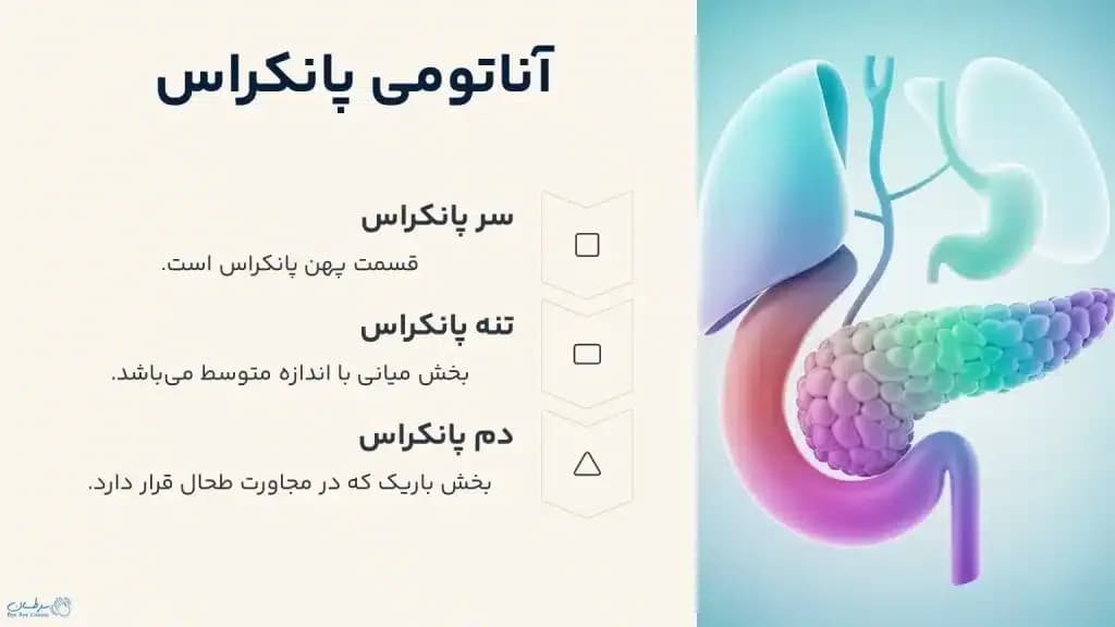Pancreatectomy.1-1024x576.webp