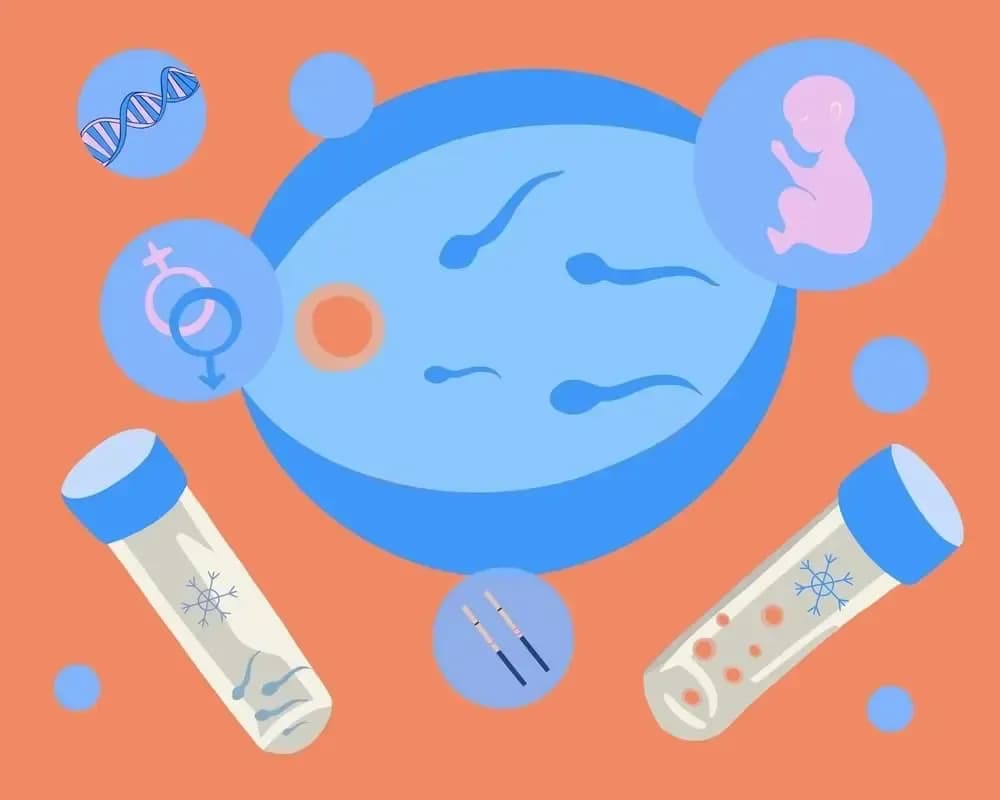 Why-should-we-freeze-eggs-before-cancer-treatment.1.webp