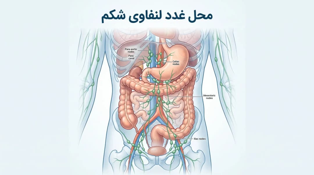 غدد لنفاوی شکم کجاست