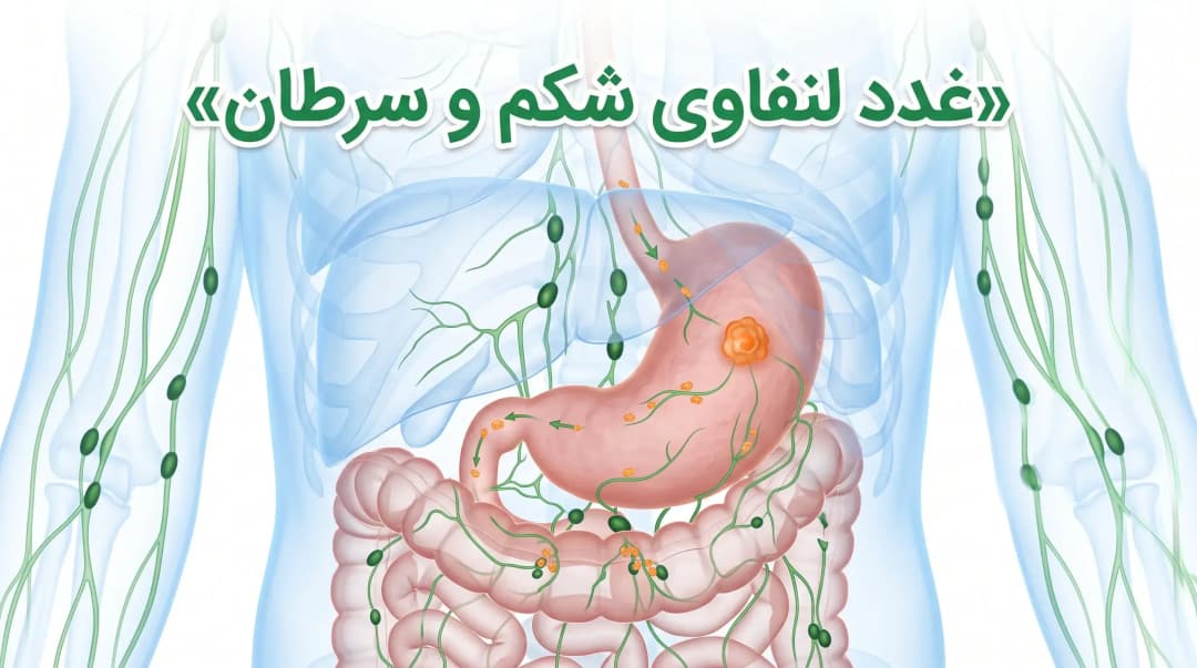 غدد لنفاوی شکم کجاست