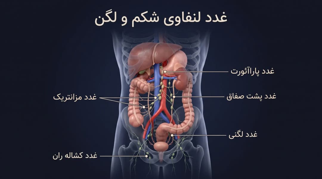 غدد لنفاوی شکم