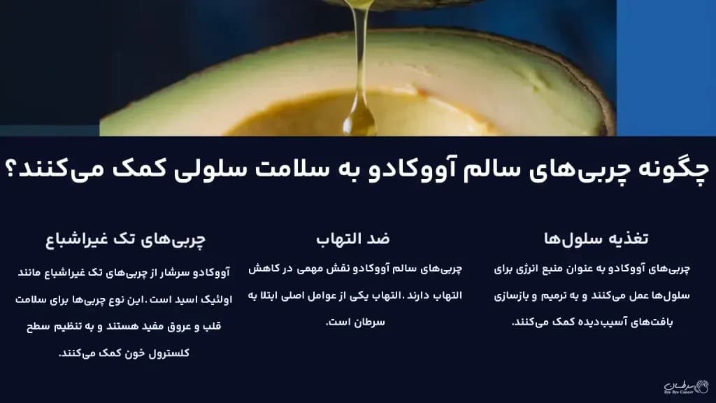 avocado.2-1024x576.webp