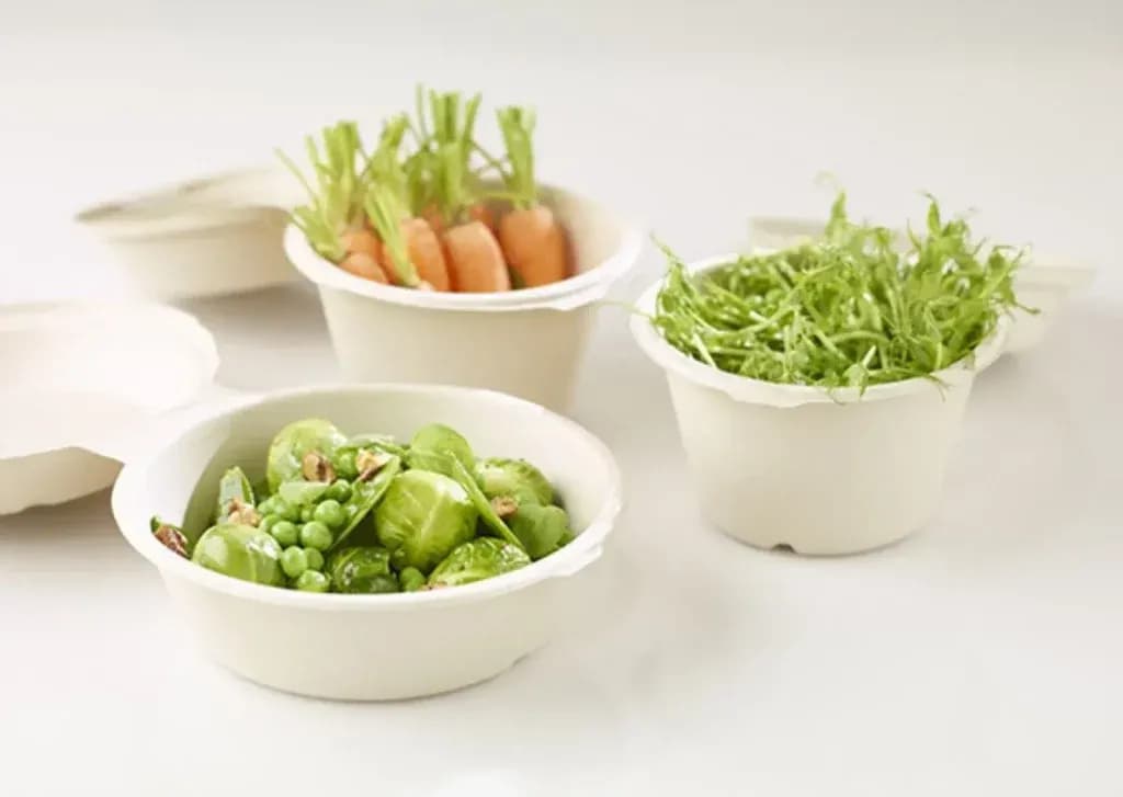 cancer-and-disposable-vegetarian-dishes-1024x727.webp
