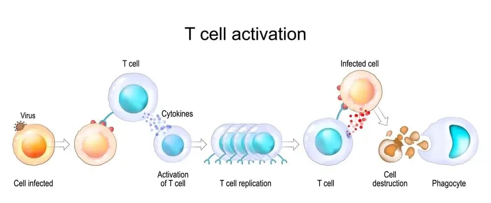 cancer-vaccine-injection.webp