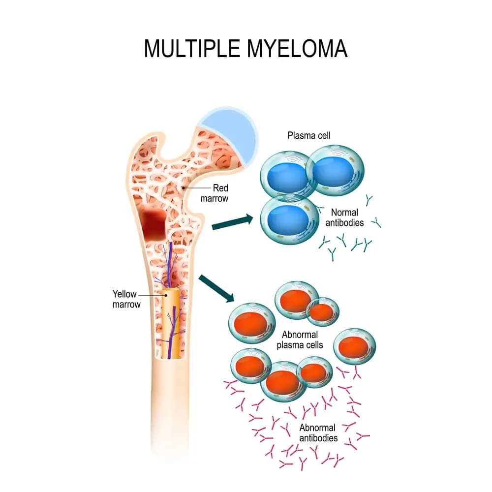 carcinogenicity-of-plasma.1.webp