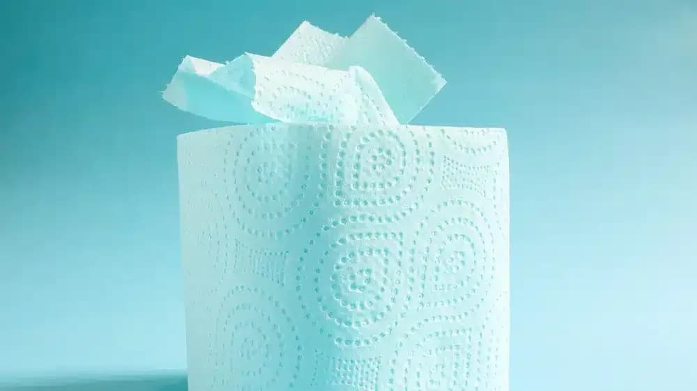 cellulose-products-and-cancer.2.webp