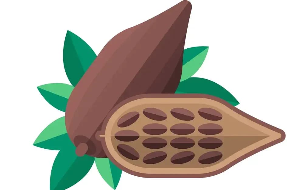 chocolate-for-cancer.1-edited.webp