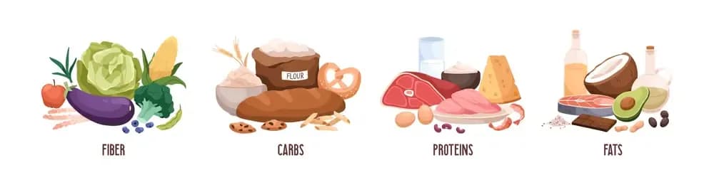 common-nutritional-challenges-during-cancer-treatment.webp