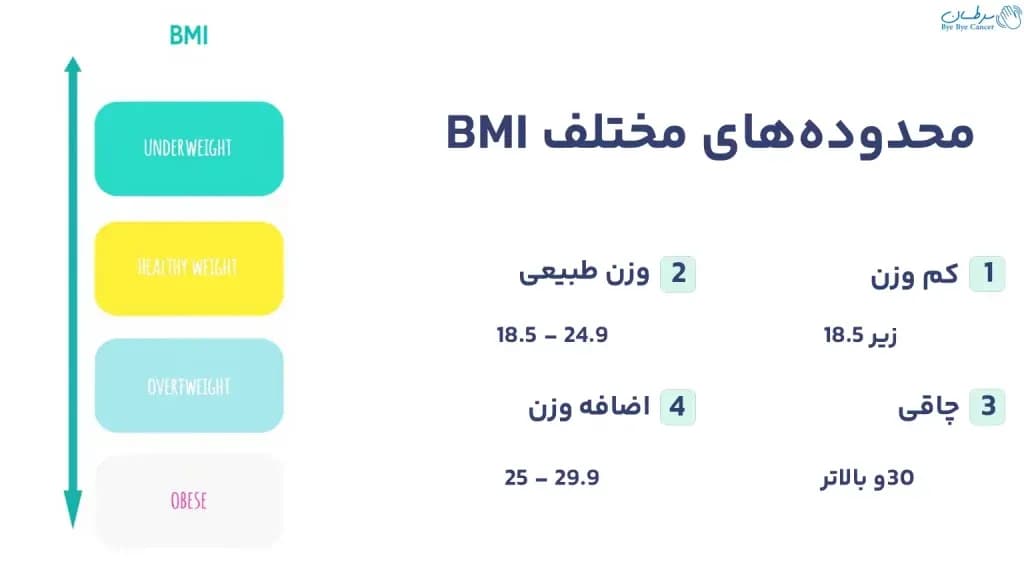 different-ranges-of-BMI-1024x576.webp