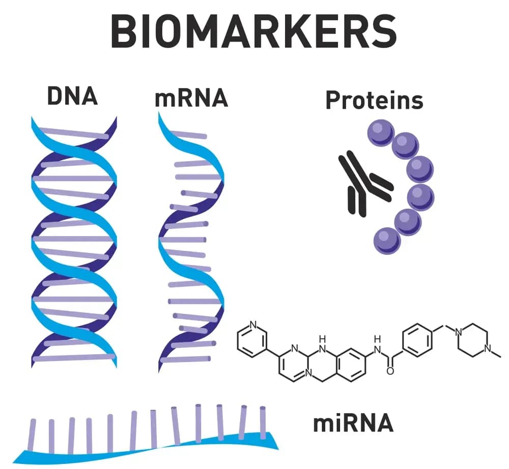 elevation-of-tumor-markers.webp