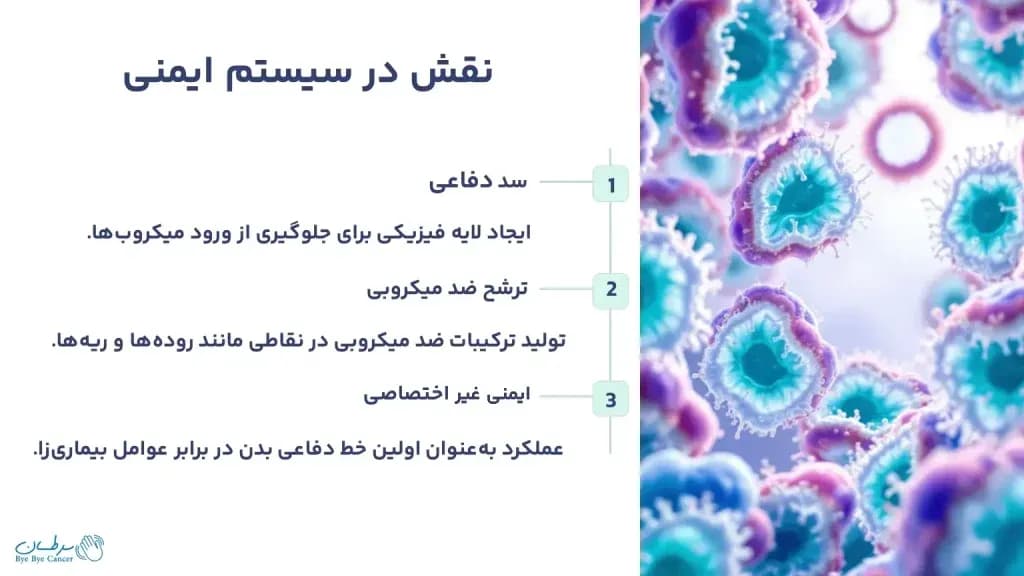 epithelial-cells.2-1024x576.webp