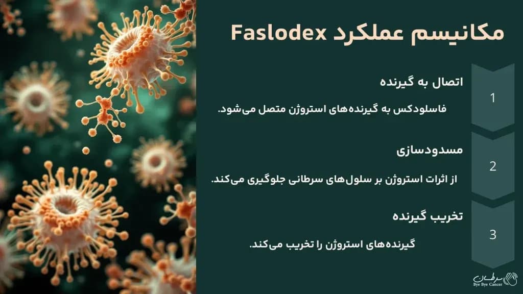 faslodex.2-1024x576.webp