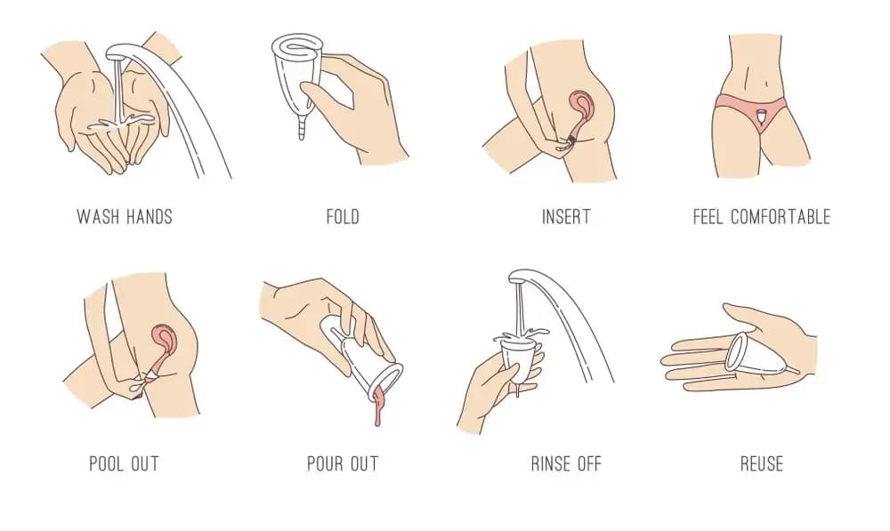female-cancers-and-menstrual-cup.1.webp