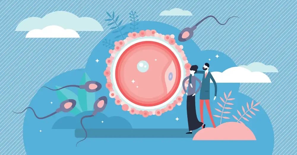 fertility-of-cancer-patients.webp