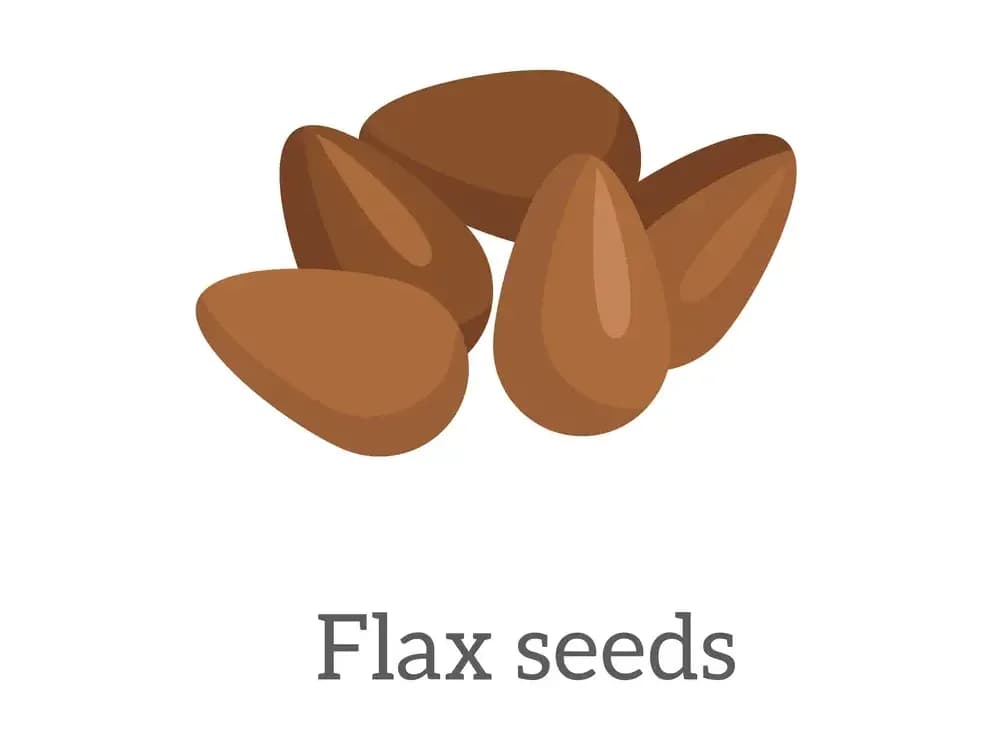 flaxseed-and-cancer-edited.webp