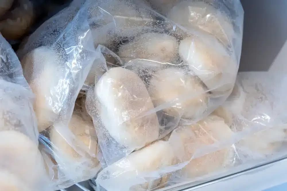 frozen-bread.1.webp