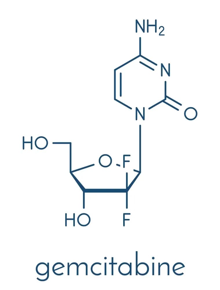 gemzar-drug.1.webp