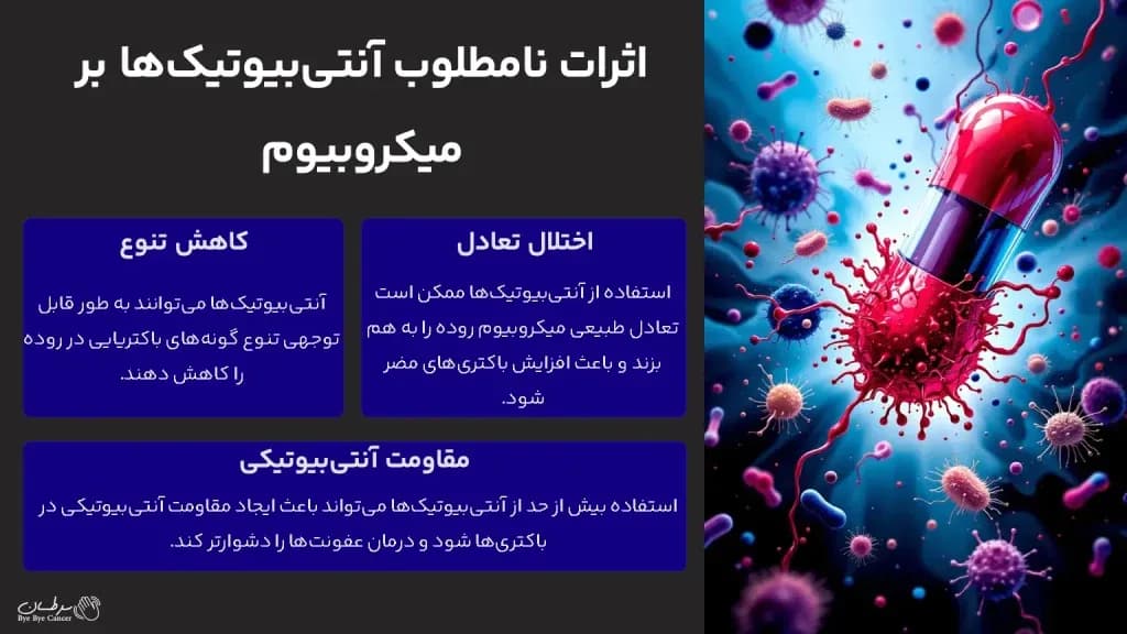gut-microbiome.6-1024x576.webp