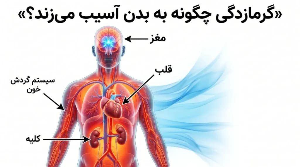 heat-and-health.8-1024x572.webp