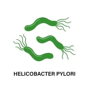 helicobacter-pylori-300x300.webp