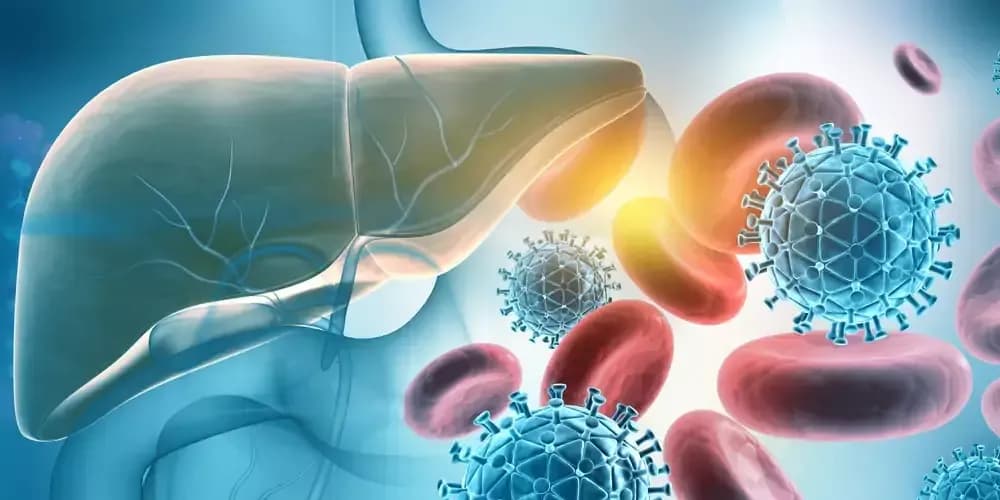 hepatitis-virus.1.webp