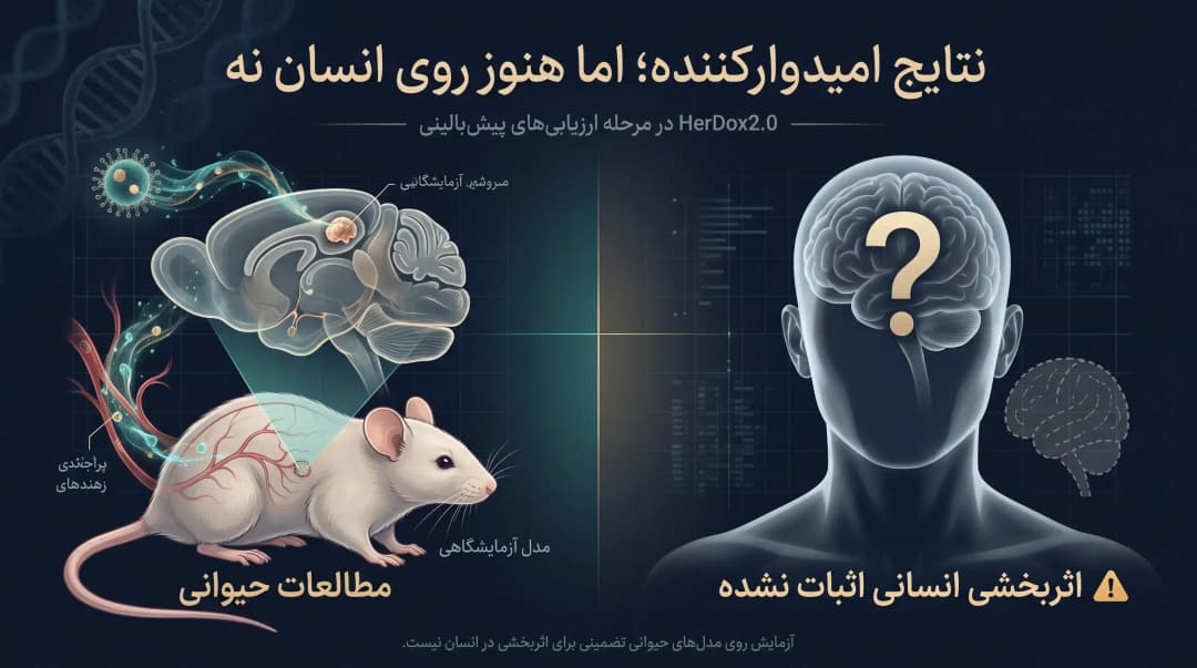 نانوذره HerDox2.0