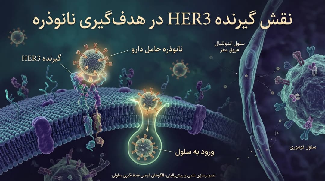 HerDox2.0