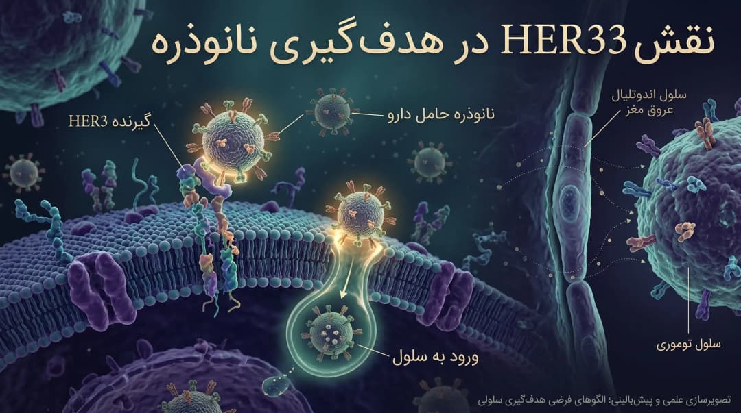 HerDox2.0