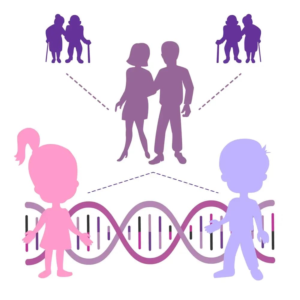 hereditary-cancers.3.webp