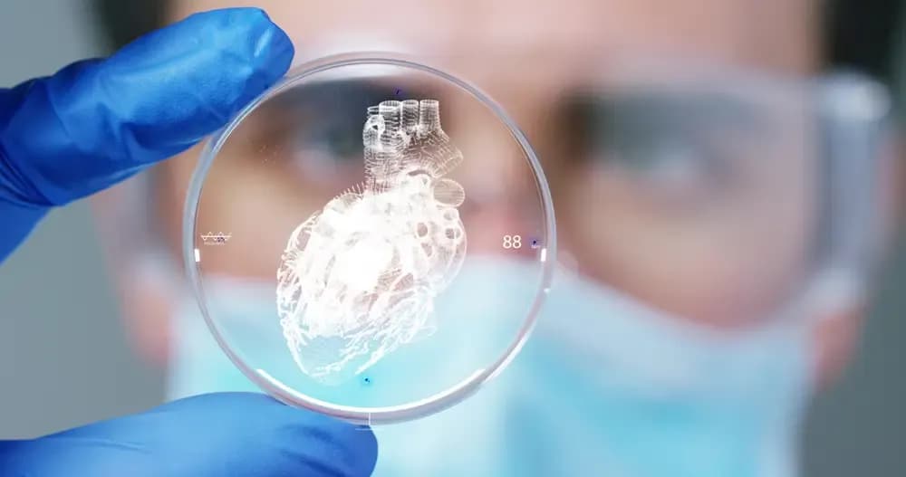 holography-in-medicine.webp