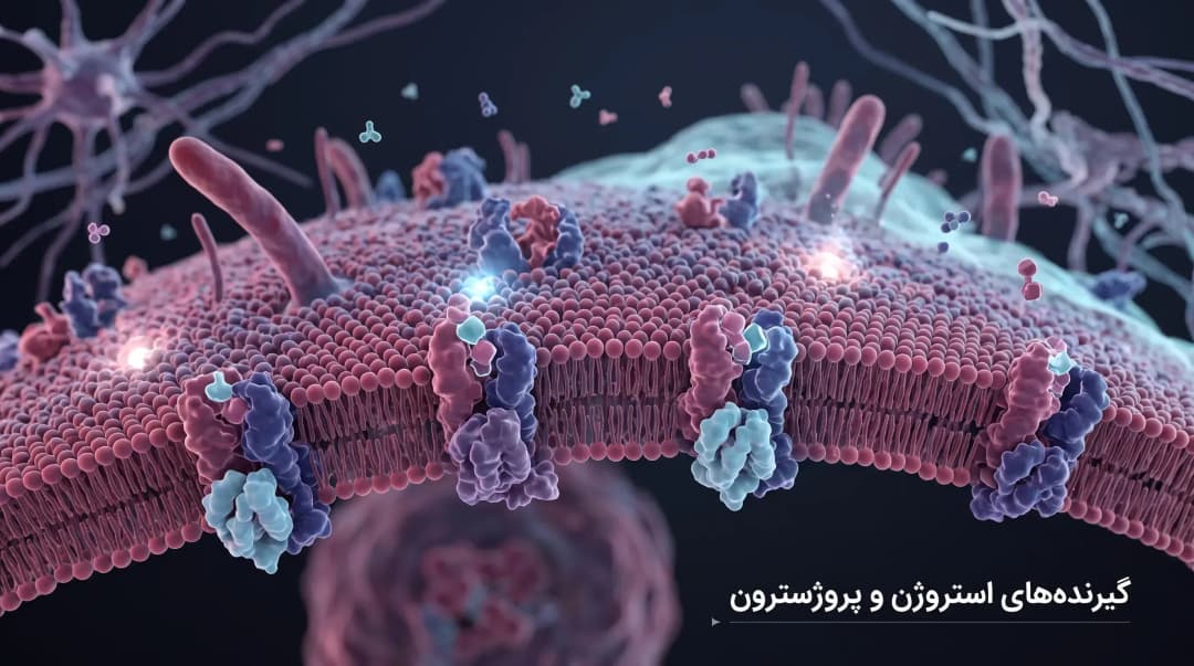 هورمون درمانی سرطان پستان