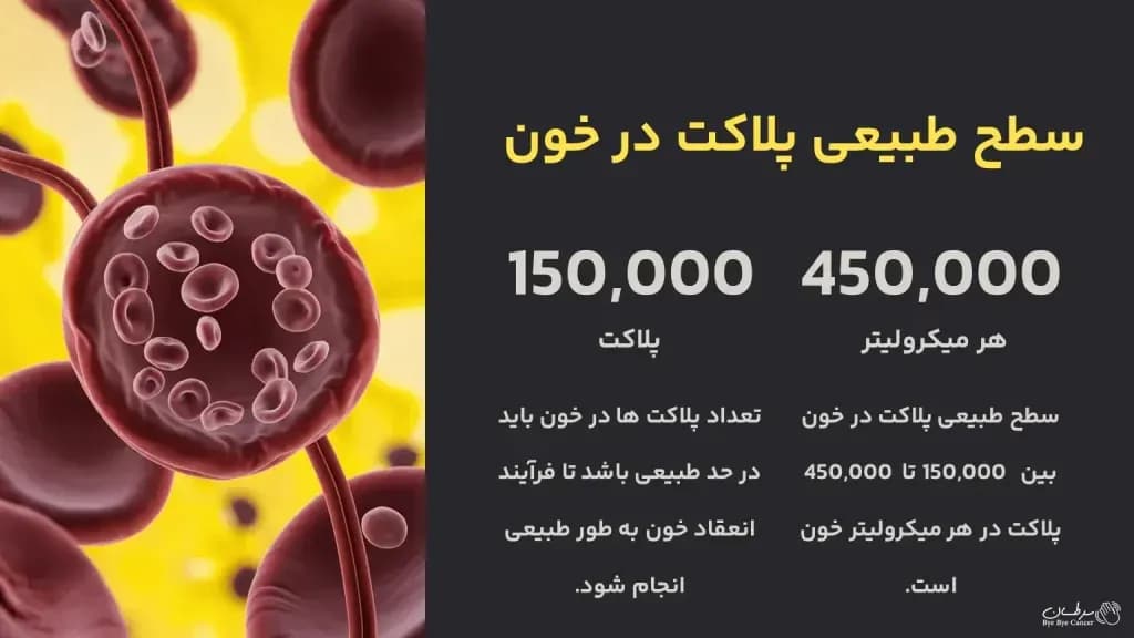 is-it-dangerous-to-have-low-blood-platelets.1-1-1024x576.webp