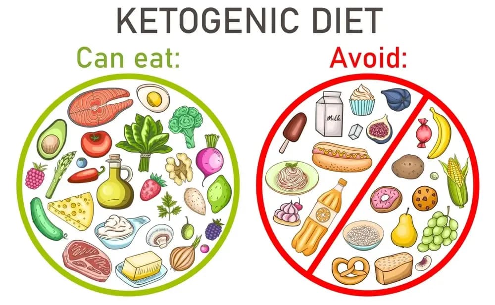 ketogenic-diet-and-cancer-treatment.webp
