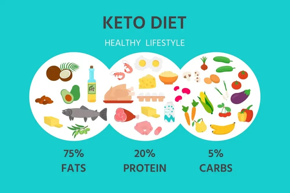 ketogenic-diet.webp