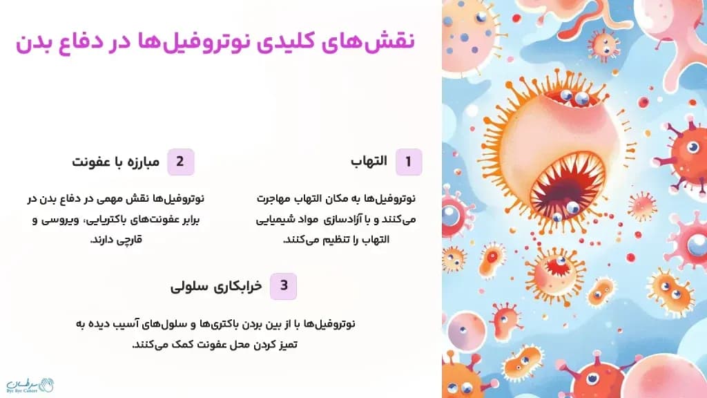 key-roles-of-neutrophils-in-body-defense-1024x576.webp