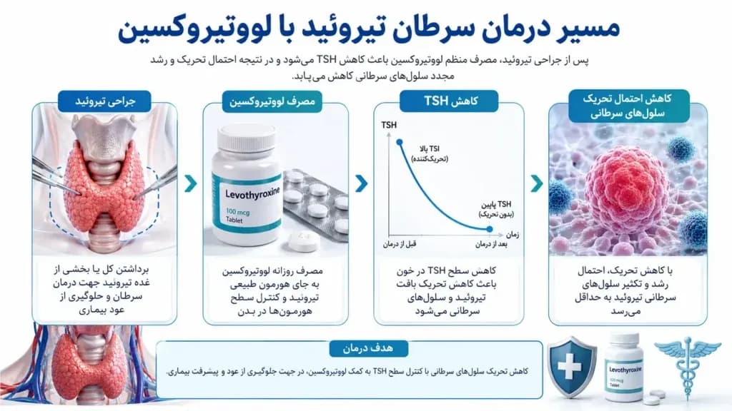 levothyroxine.1-1024x576.webp