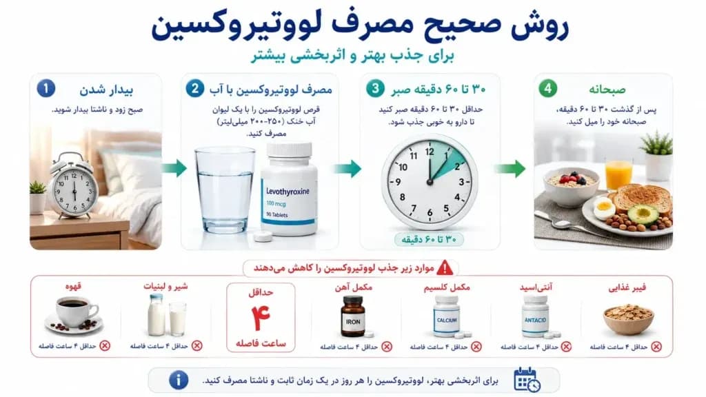 levothyroxine.11-1024x576.webp