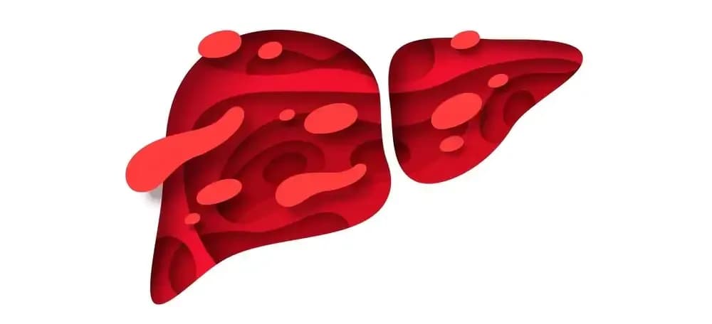 liver-cancer-and-hepatitis-virus.1.webp