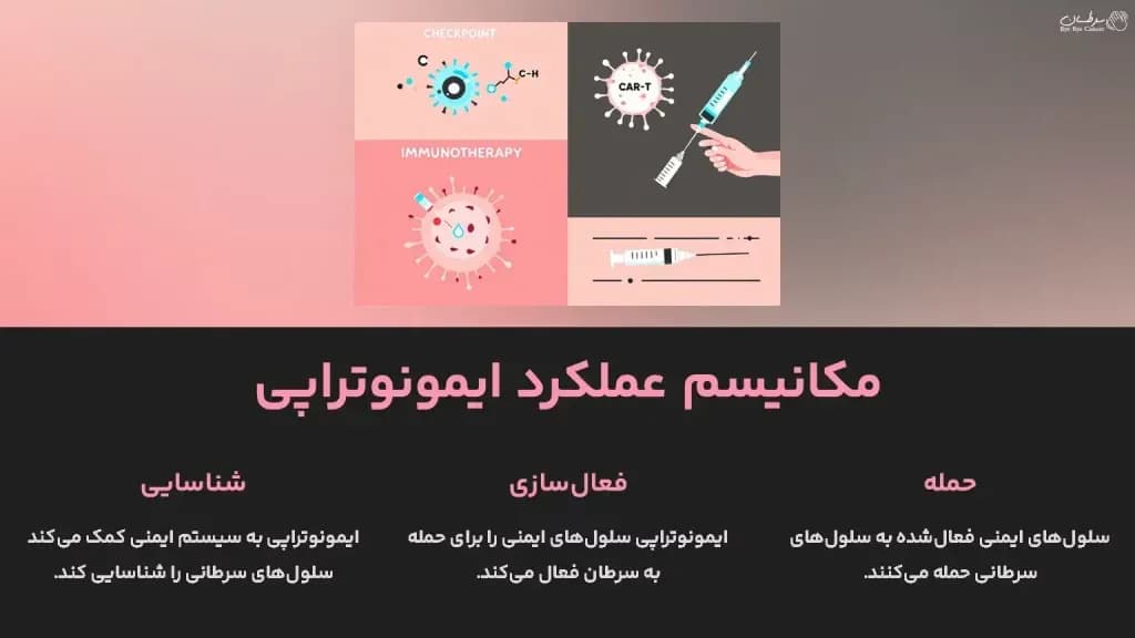 mechanism-of-action-of-immunotherapy-1024x576.webp