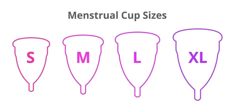 menstrual-cup-and-cancer.webp