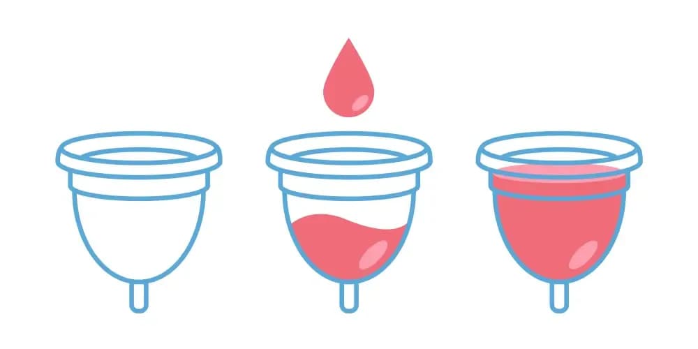 menstrual-cup.1.webp