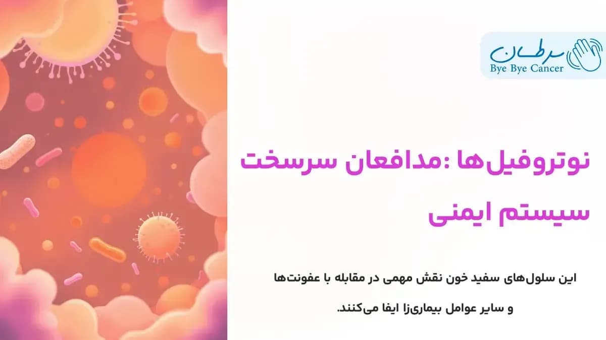 نوتروفیل‌ها: مدافعان سرسخت سیستم ایمنی