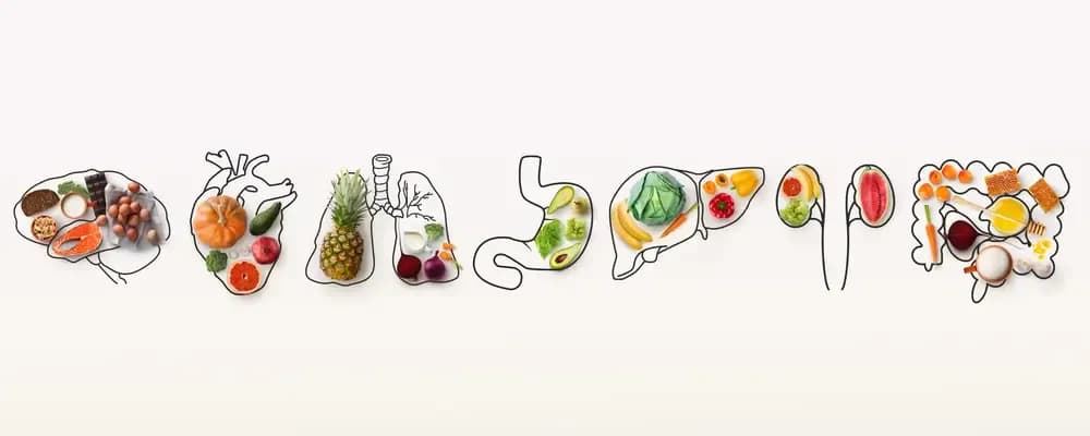 nutrition-and-cancer.webp