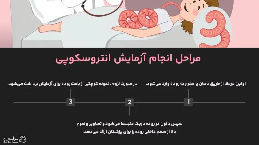 procedures-for-performing-an-enteroscopy-test-1024x576.webp